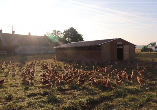 Ferme des Sueurs
