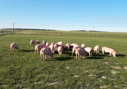 Ferme des Sueurs
